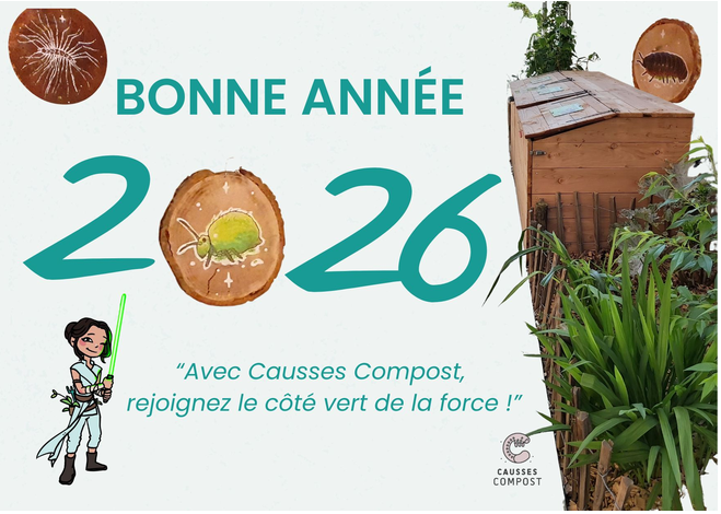 Graine de compost n° 20 – Janvier 2026