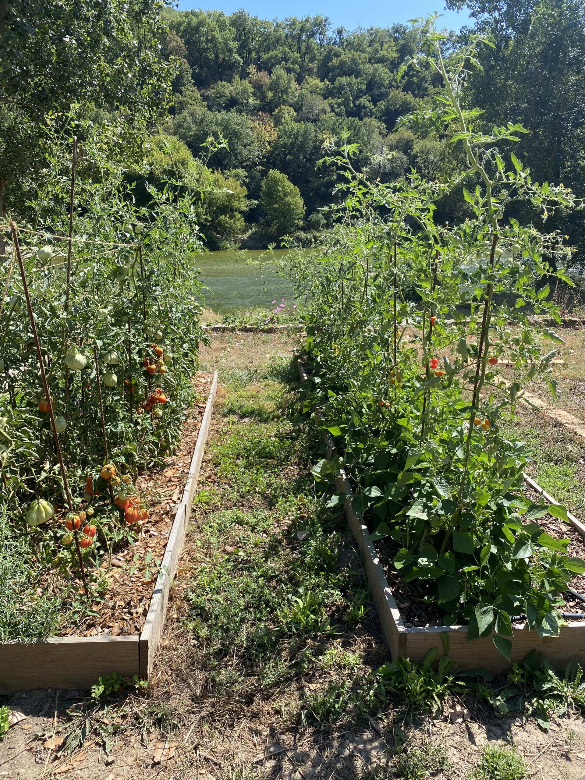 Graines de compost n° 27 – Septembre 2026